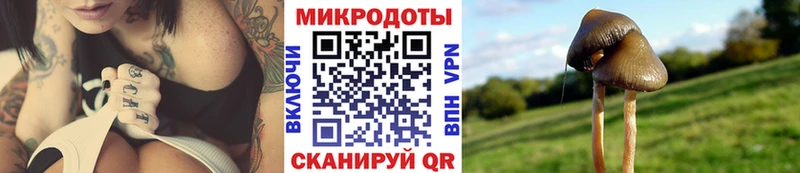 купить закладку  Малоархангельск  Галлюциногенные грибы мухоморы 